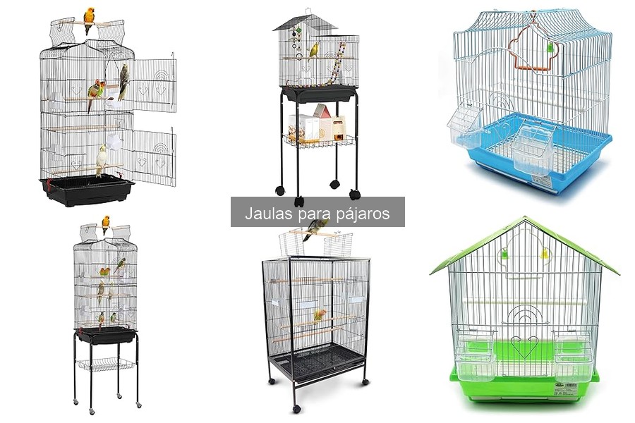 ** Las Mejores Tiendas Online para Comprar Jaulas para Pájaros
