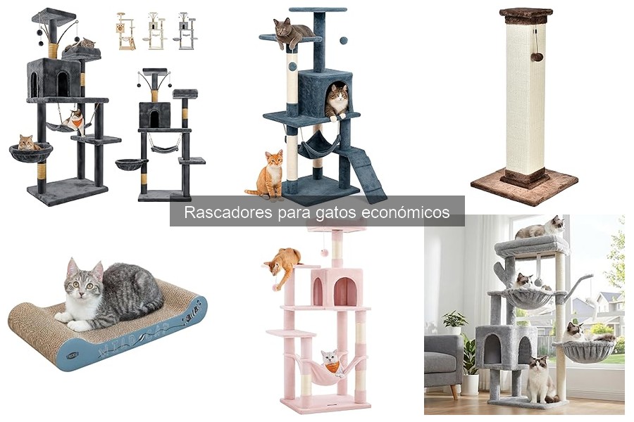 Los mejores rascadores para gatos económicos: ¿qué son y beneficios?