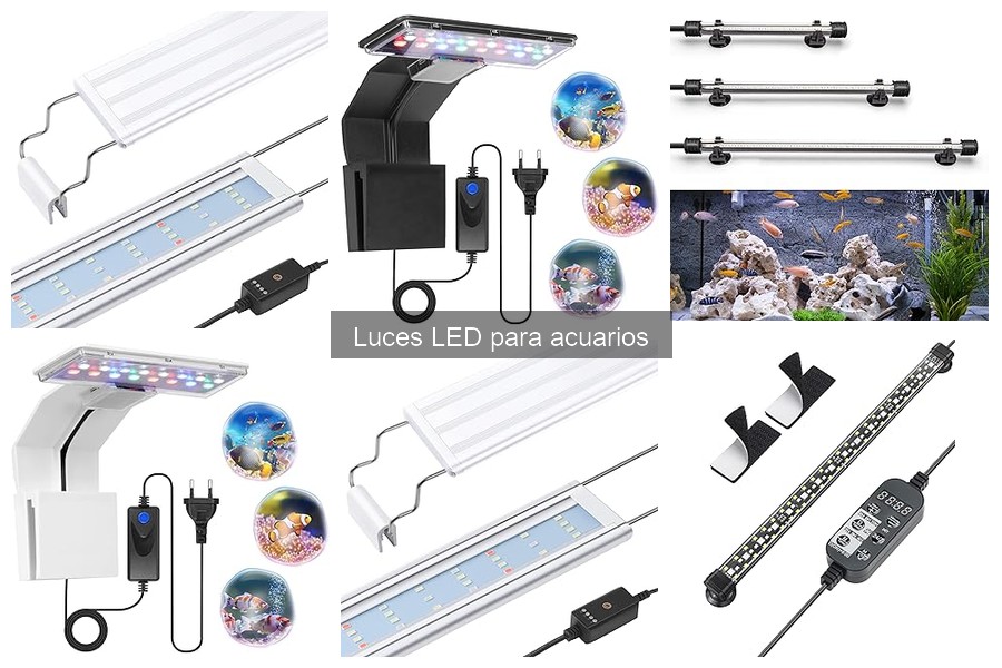 Luces LED para Acuarios Grandes vs. Pequeños: Comparativa