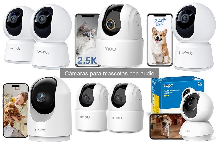 Mantén tu cámara para mascotas con audio en perfecto estado