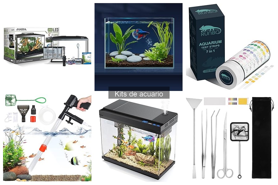 Mantenimiento básico de tu acuario con kit: Guía práctica