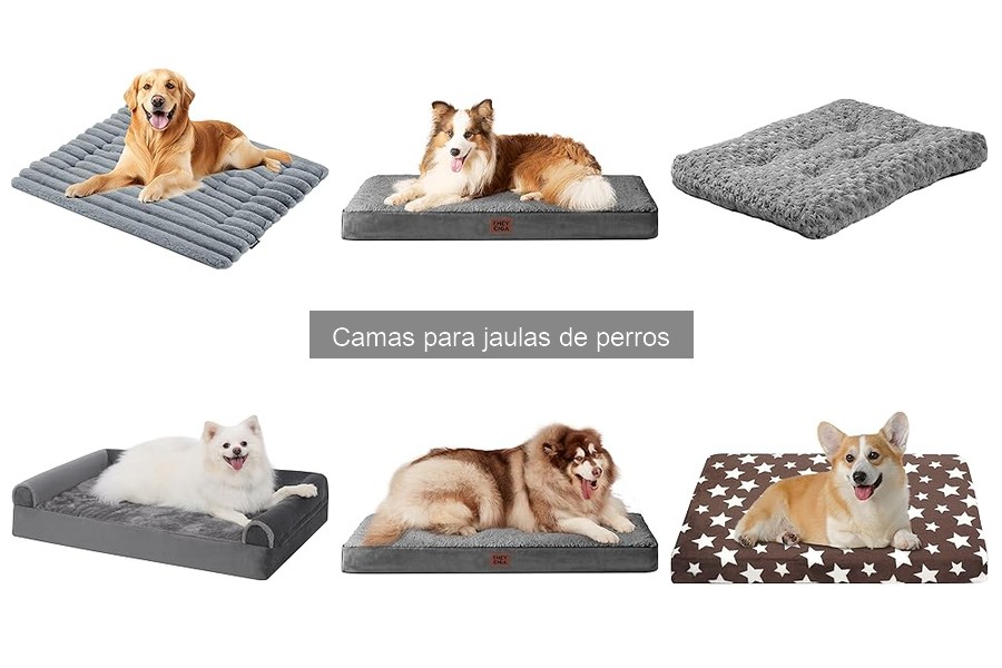 Mantenimiento de camas para jaulas de perros: Guía práctica