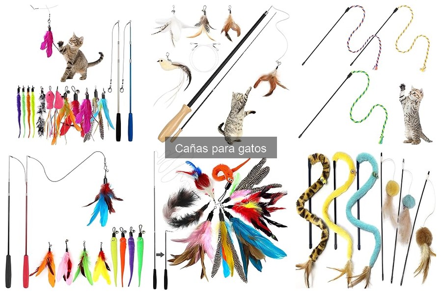 Mantenimiento de Cañas para Gatos: Consejos y Cuidados