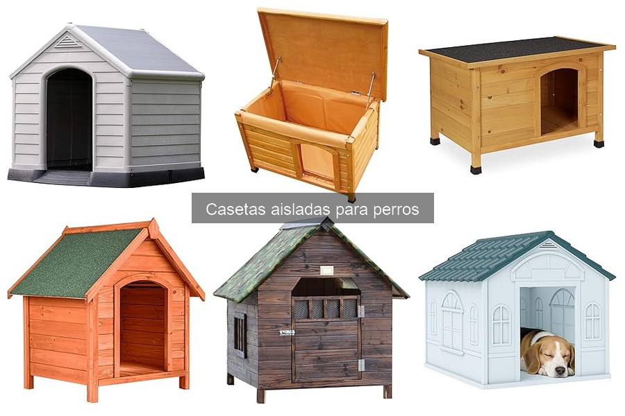 Mantenimiento de Casetas Aisladas para Perros: Consejos Prácticos