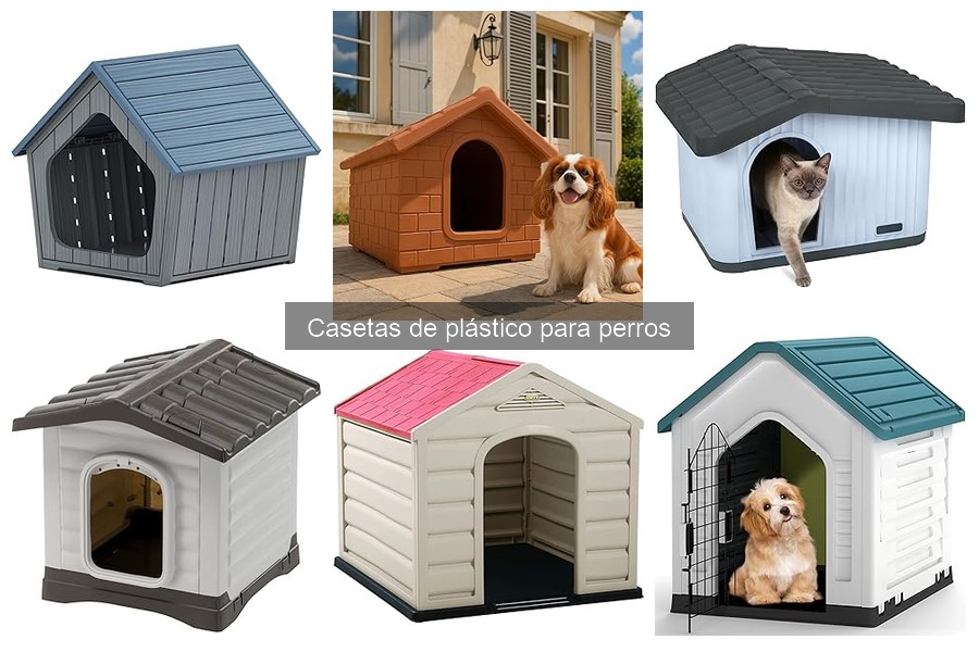 Mantenimiento de Casetas de Plástico para Perros: Tips Esenciales