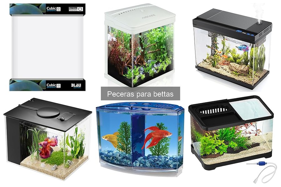 Mantenimiento de Peceras para Bettas: Pasos Esenciales