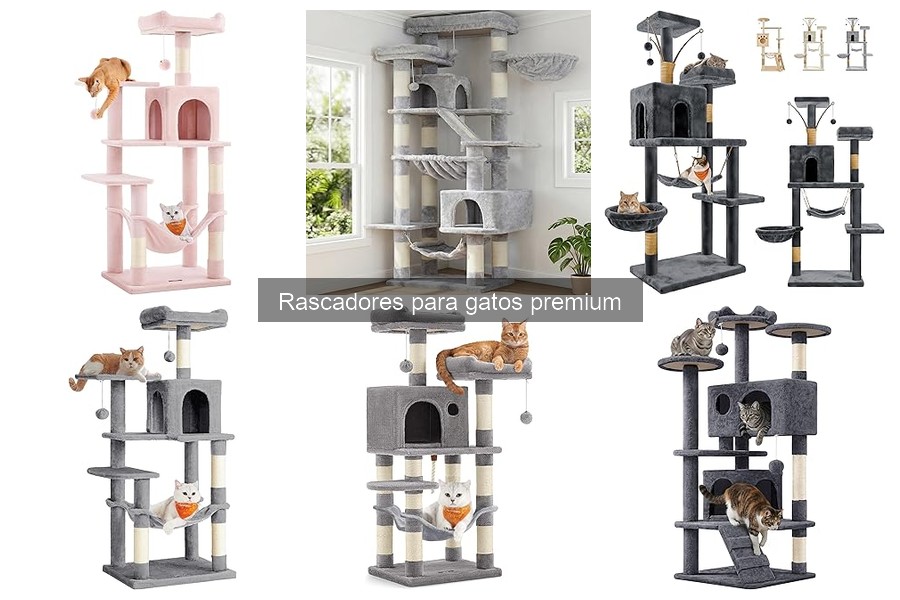 Mantenimiento de Rascadores para Gatos Premium: Guía Práctica