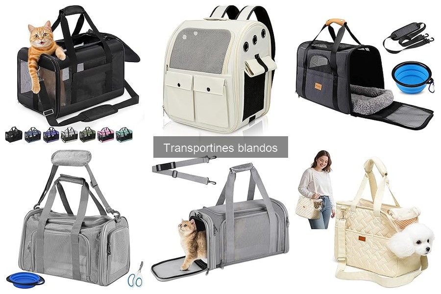 Mantenimiento de Transportines Blandos: Consejos Útiles