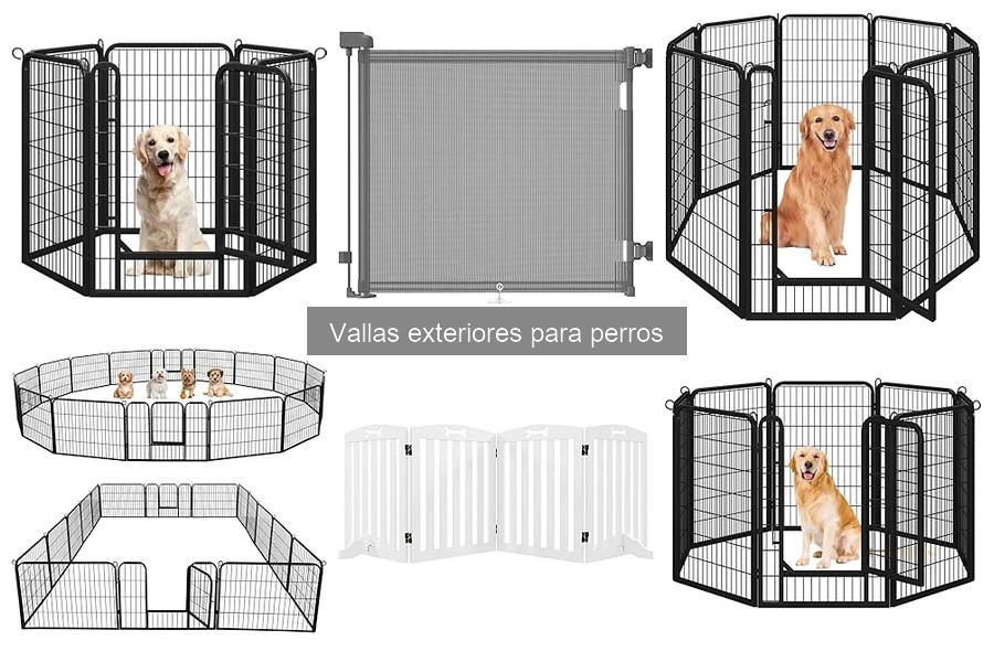Mantenimiento de Vallas Exteriores para Perros: Mejores Prácticas