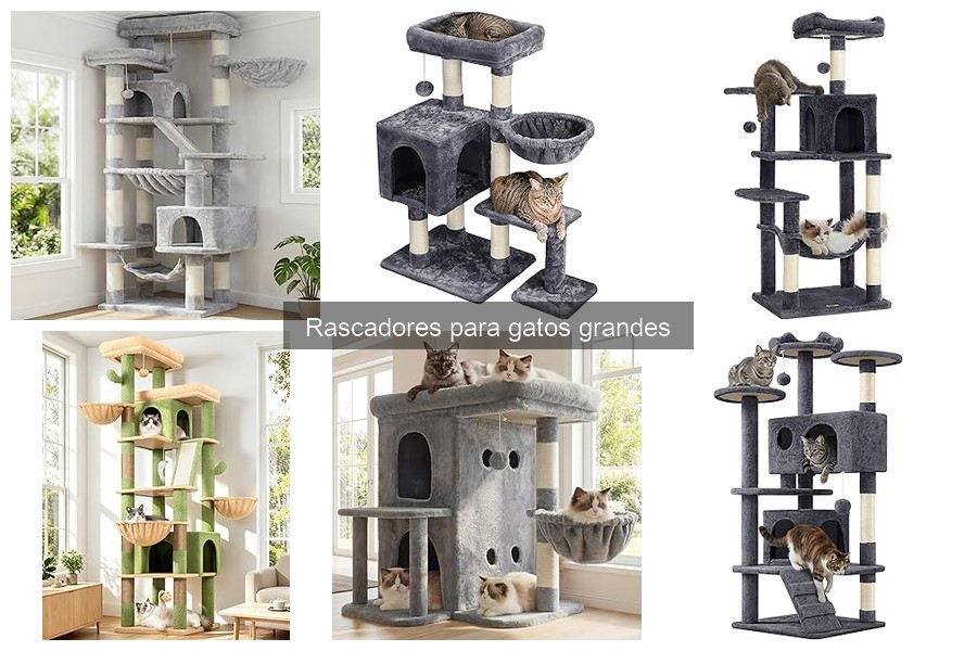 Mantenimiento del Rascador para Gatos Grandes: Guía Esencial