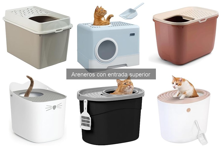 Mantenimiento Ideal para Areneros con Entrada Superior