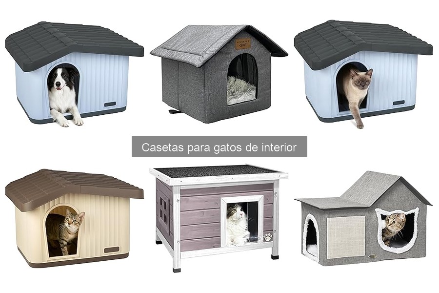 Mantenimiento y limpieza de casetas para gatos de interior