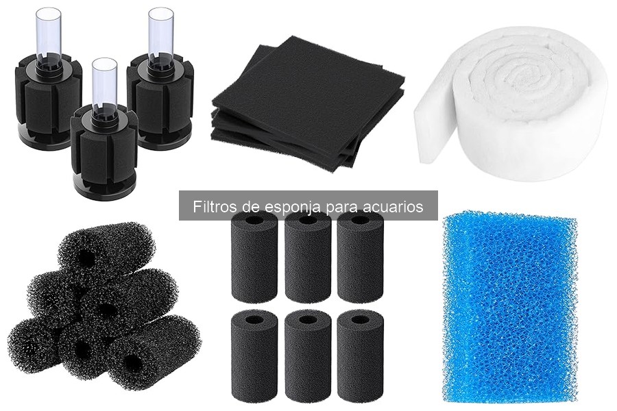 Mantenimiento y limpieza de filtros de esponja para acuarios