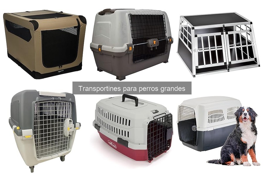 Mantenimiento y Limpieza de Transportines para Perros Grandes