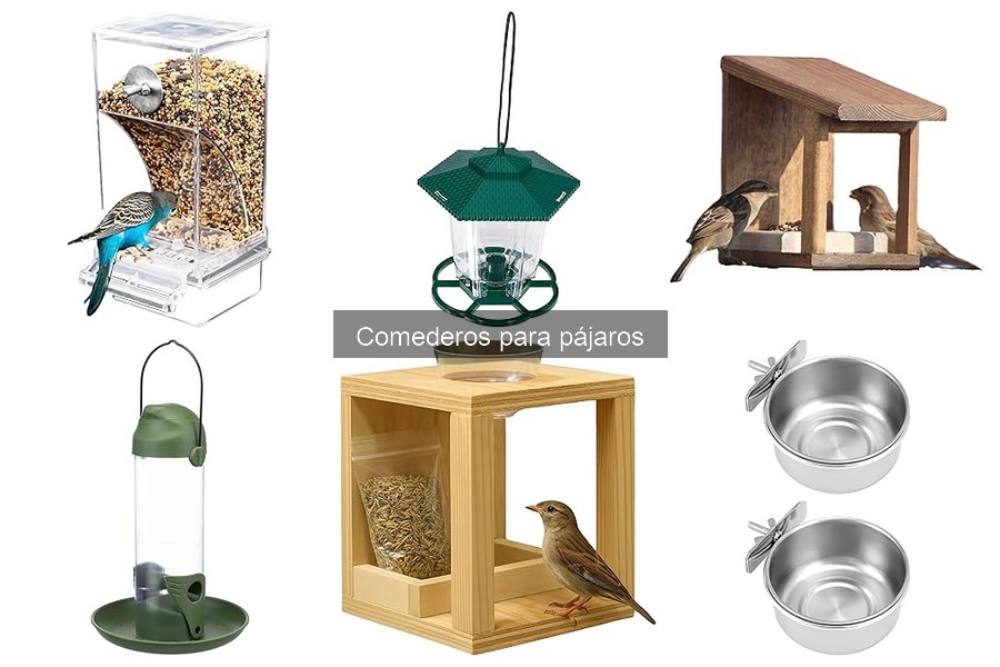 Materiales ideales para comederos de pájaros: guía completa