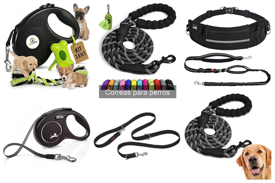 Materiales más seguros para correas de perros