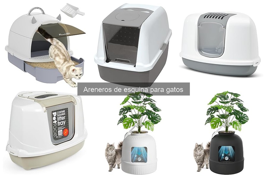 Medidas Clave para Elegir un Arenero de Esquina para Gatos
