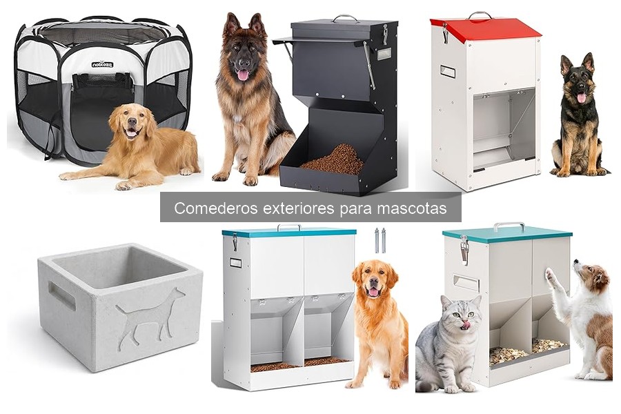 Mejor ubicación para comederos exteriores de mascotas