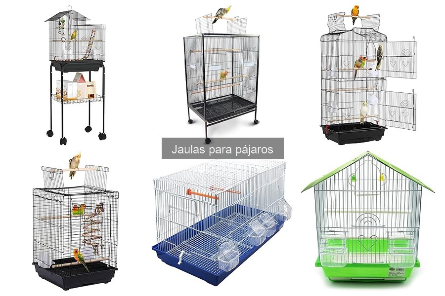 Mejores Accesorios para Jaulas de Pájaros: Bienestar Aves