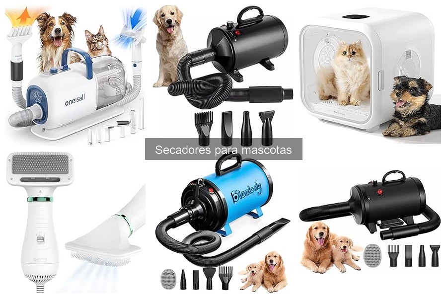 Mejores accesorios para secadores de mascotas: guía útil