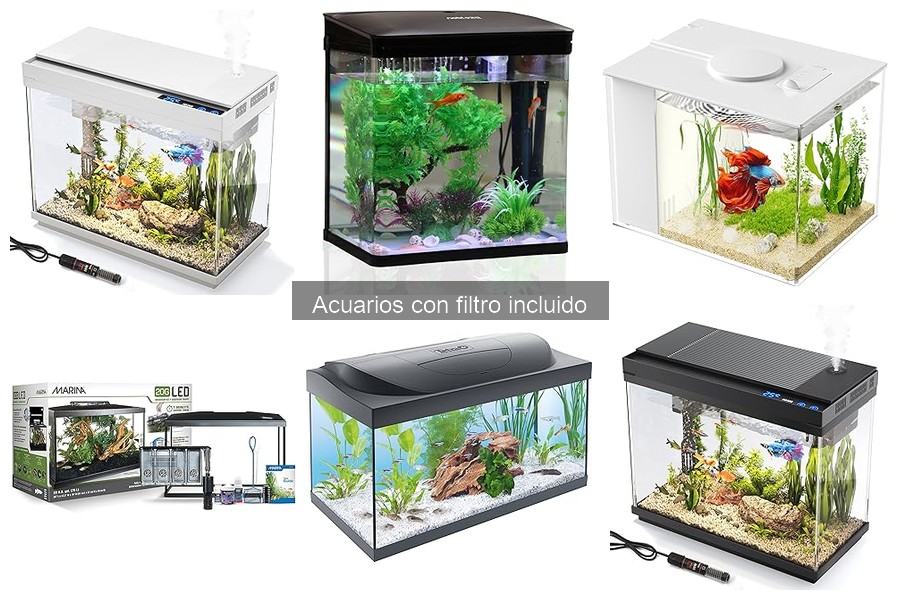 Mejores acuarios con filtro para espacios pequeños