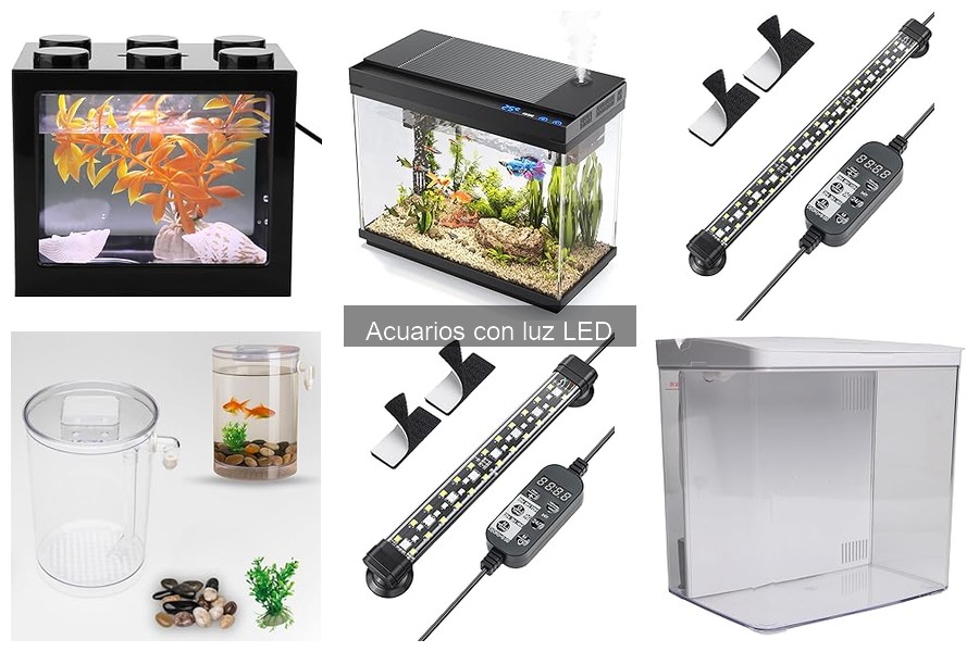 Mejores acuarios con luz LED: comparativa 2023