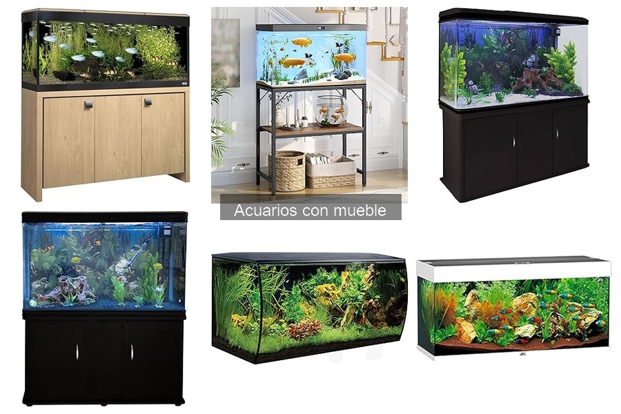 Mejores acuarios con mueble según opiniones de usuarios
