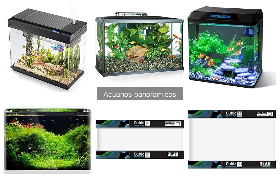 Mejores acuarios panorámicos para principiantes en 2023