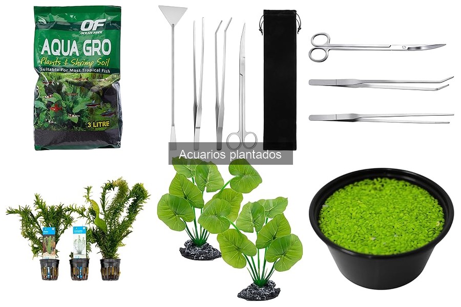 Mejores acuarios plantados para principiantes en 2023