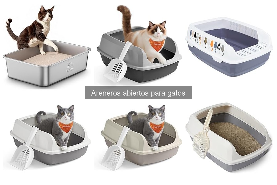Mejores Areneros Abiertos para Gatos: Comparativa y Análisis