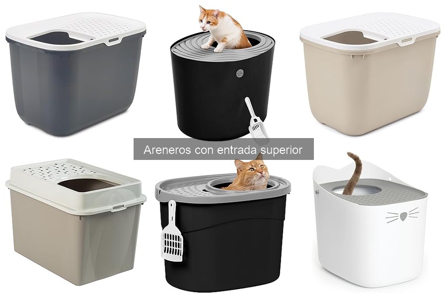 Mejores areneros con entrada superior para gatos en 2023