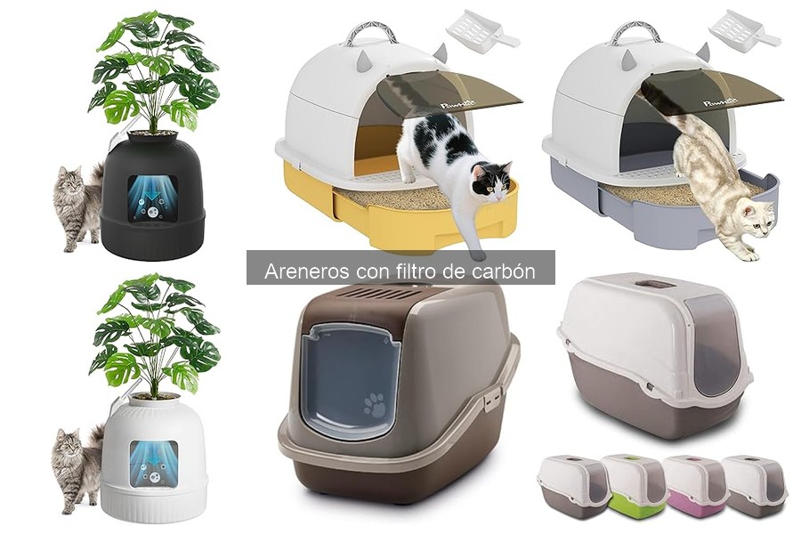 Mejores areneros con filtro de carbón para gatos en 2023