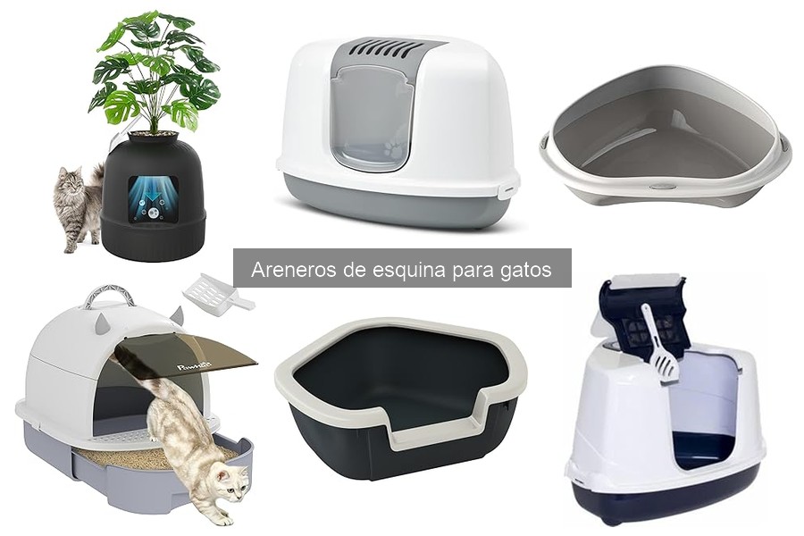 Mejores areneros de esquina para gatos en 2023