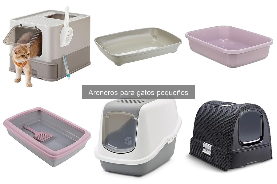 Mejores areneros para gatos pequeños del 2023