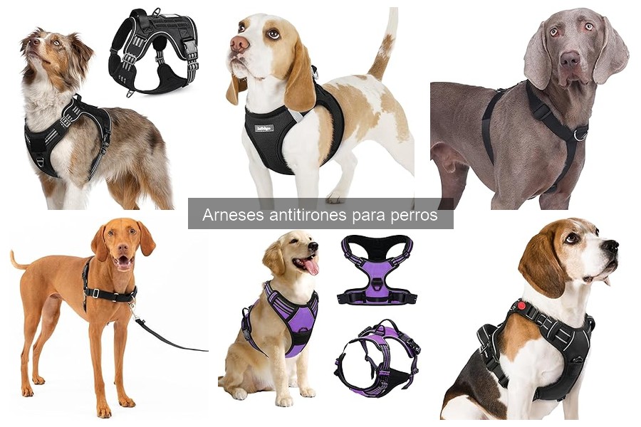 Mejores arneses antitirones para perros pequeños en 2023