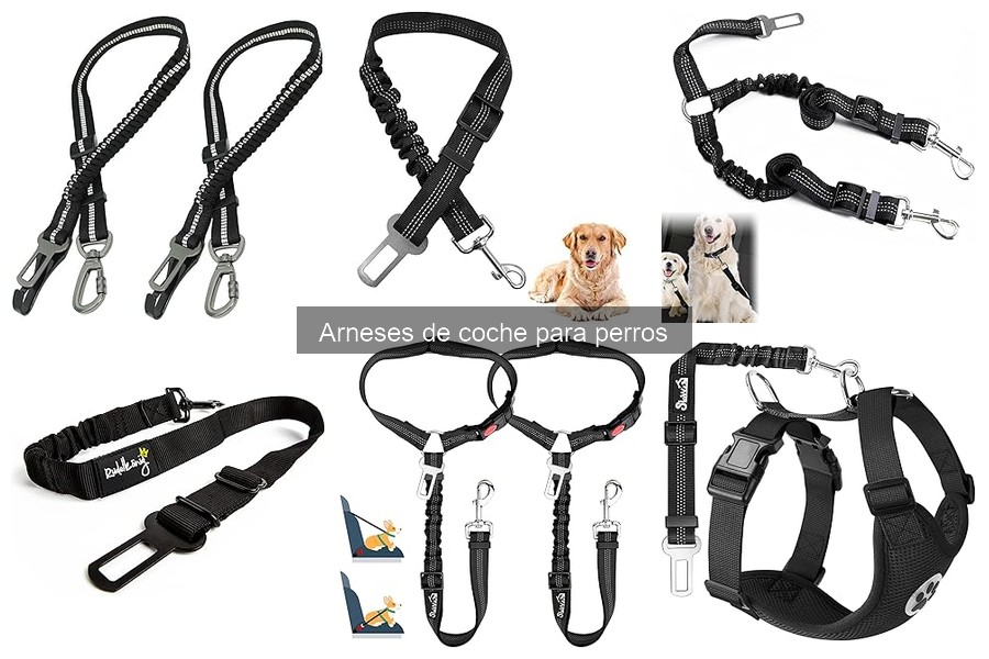 Mejores arneses de coche para perros grandes en 2023