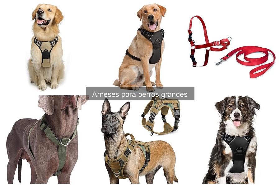 Mejores arneses para perros grandes que tiran en 2023