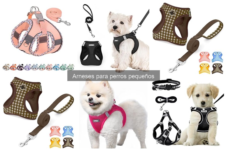 Mejores arneses para perros pequeños según opiniones de usuarios