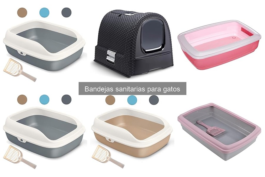 Mejores bandejas sanitarias para gatos en 2023: comparativa