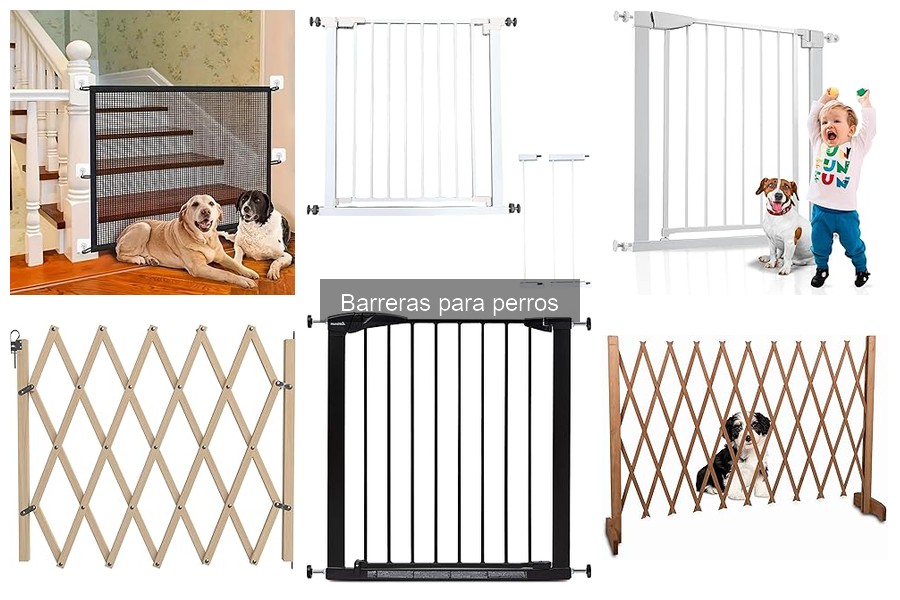 Mejores barreras para perros según raza y tamaño