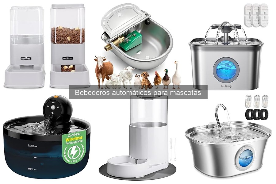 Mejores bebederos automáticos para perros en 2023
