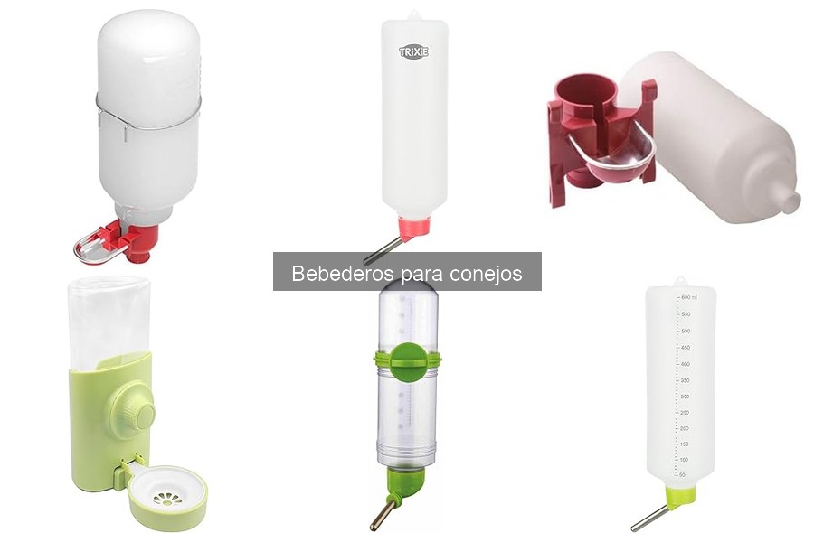 Mejores bebederos para conejos según tamaño y raza