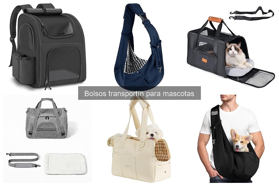 Mejores bolsos transportín para perros pequeños en 2023