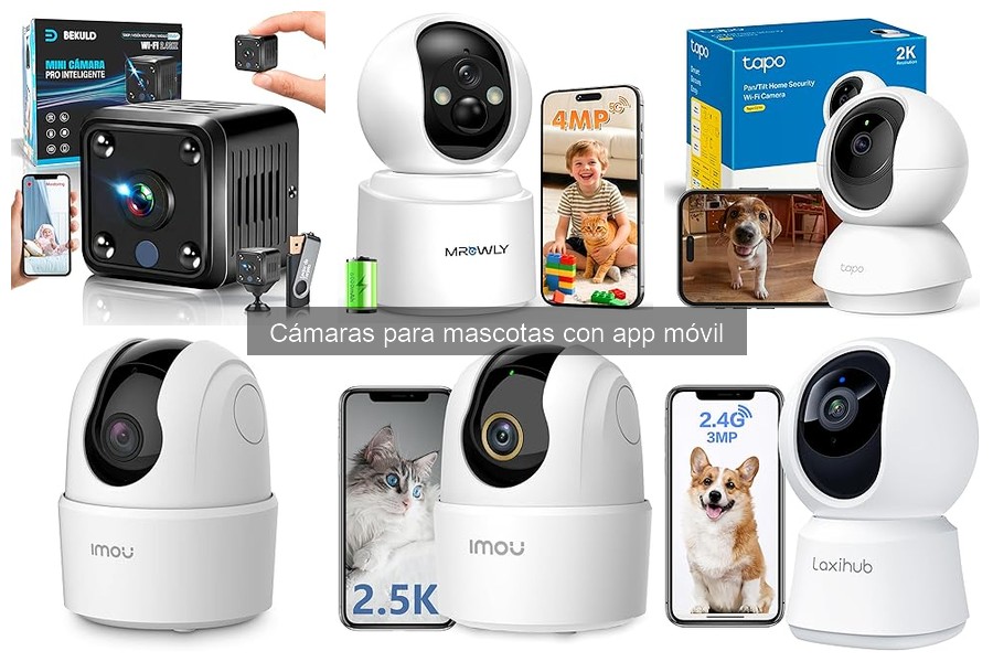 Mejores cámaras para gatos con app móvil: Comparativa 2023