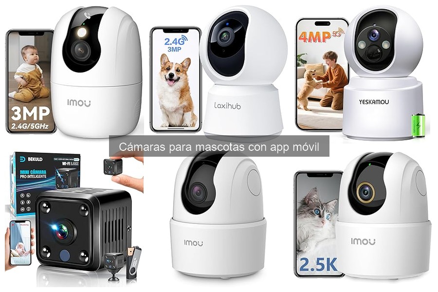 Mejores cámaras para mascotas con app móvil en 2023