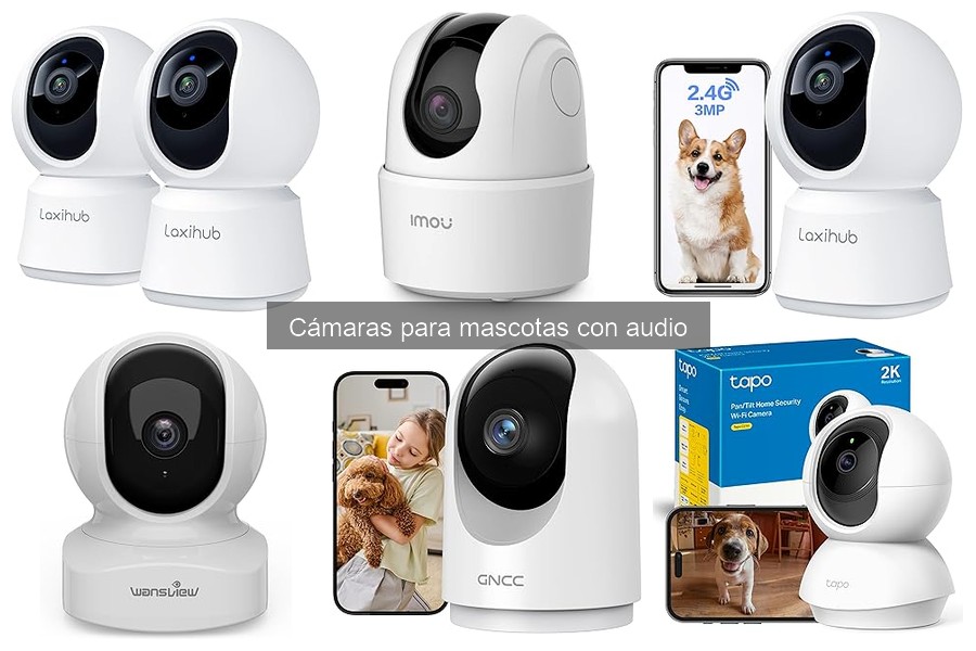 Mejores cámaras para mascotas con audio en 2023