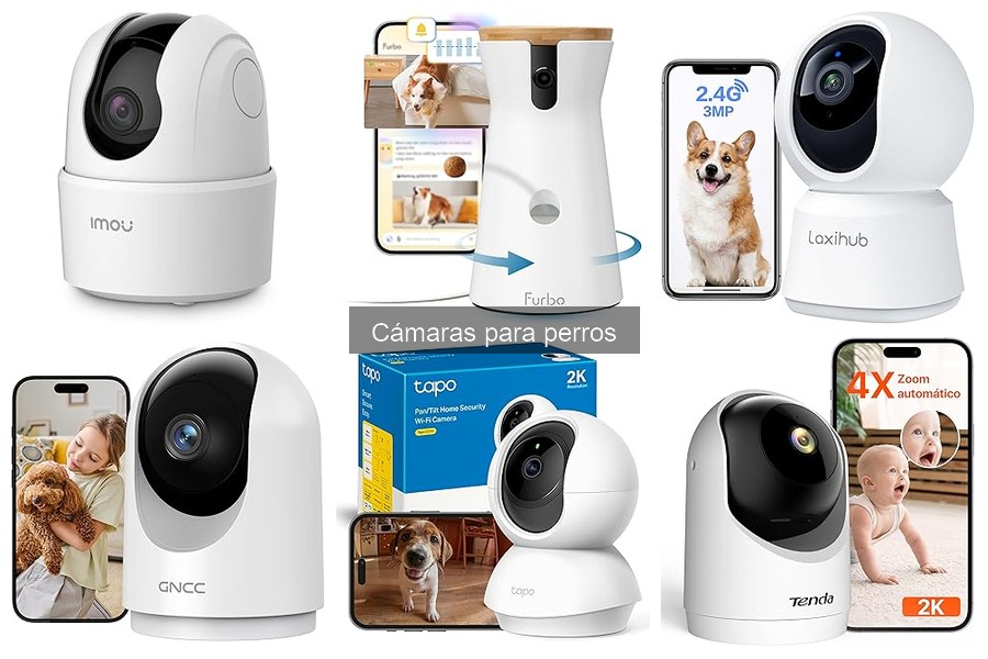 Mejores cámaras para perros: Monitorea su comportamiento