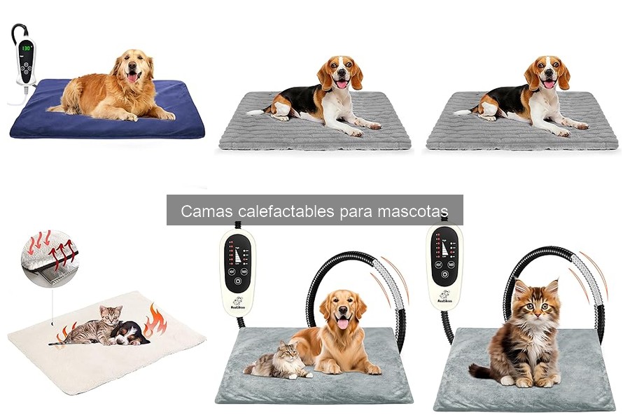 Mejores camas calefactables para gatos: comparativa 2023