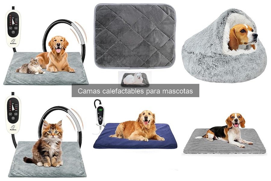 Mejores camas calefactables para perros pequeños