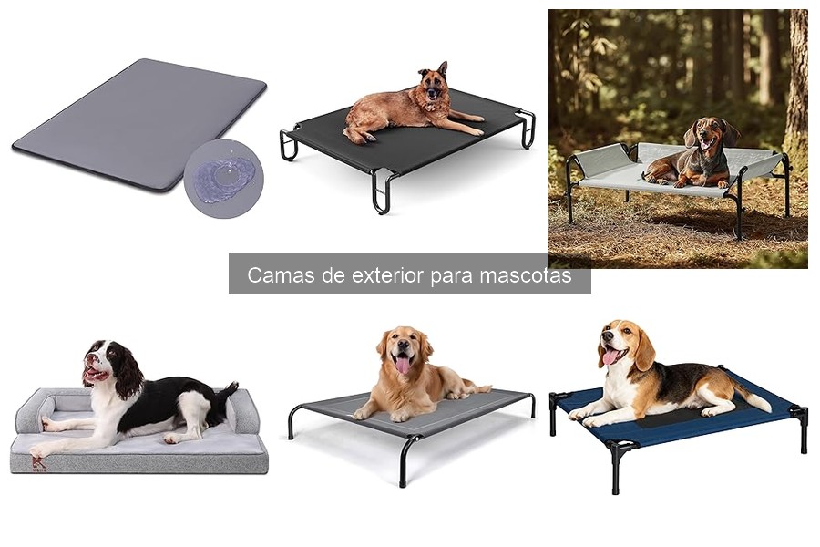 Mejores camas de exterior para perros grandes en 2023